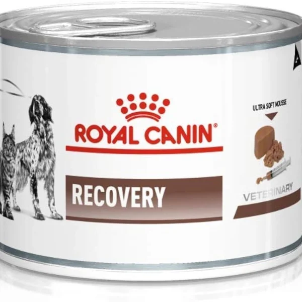 product_images_royal-canin-recovery-pate-yogun-bakim-mamasi-195-gr-12-adet_6752e4d137e6f